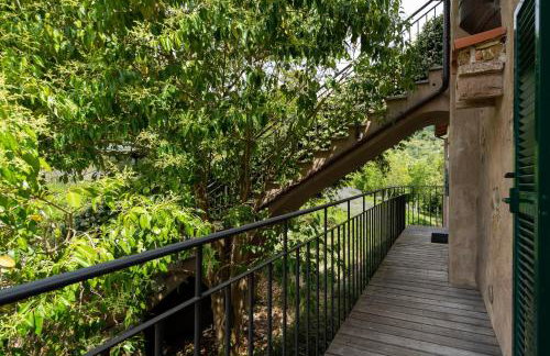 Il Giardino del Sole - Lavanda - Foto 19