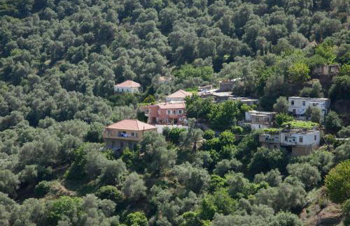 Villa Olea-Renieri - Foto 11