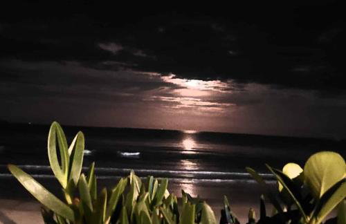 Férias dos Sonhos em Garopaba - Foto 63