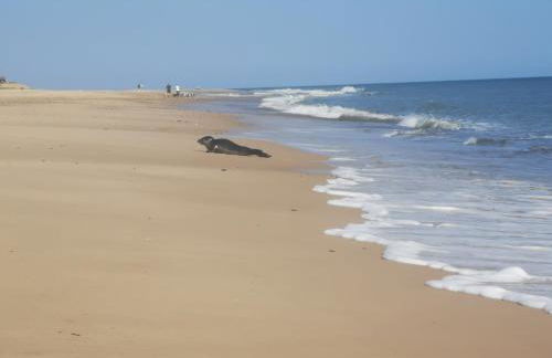 Sea View Holiday Chalet, access to sandy beach - Pets go free - Foto 12