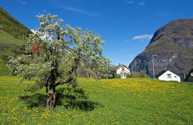 Visit Undredal - Foto 50