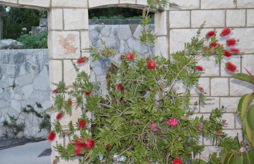 Studio Apartments Andrijana - Foto 24