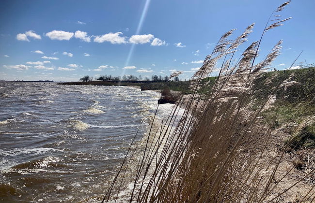 Spacious 6-person Holiday Home Dijkrose Close to the Lauwersmeer - Photo 45