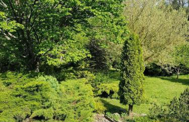 Domek w otulinie Wigierskiego Parku Narodowego - Foto 3