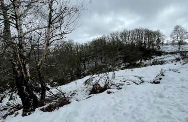 Cantinho de Tourêm - Photo 11