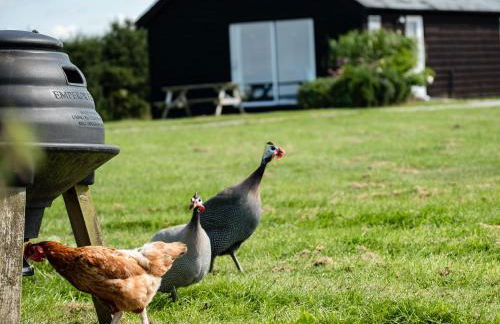 Campion Lodge - Photo 28