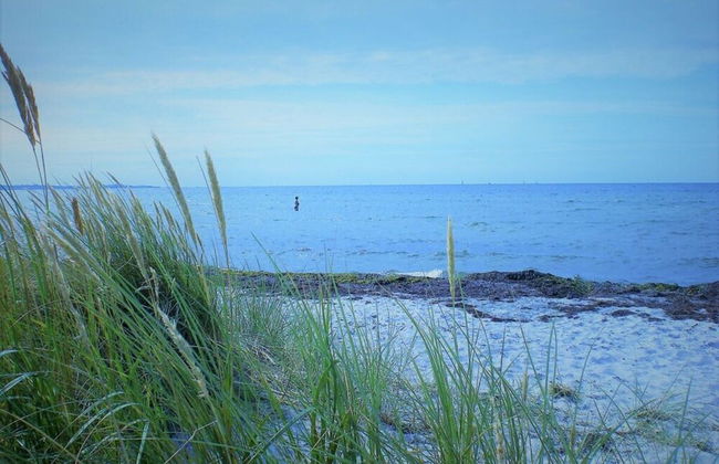 Sea View E&J Paul Comfortable Vacation Home - Foto 9