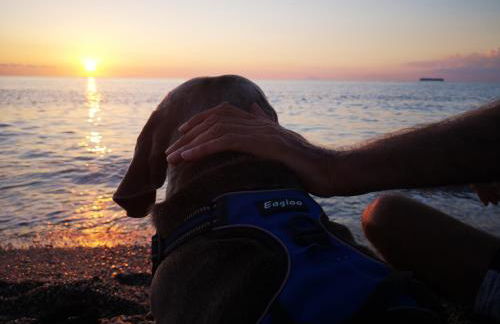 La Casa di Anna - Foto 36