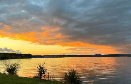 FeWo-Brombachseeblick - Foto 15