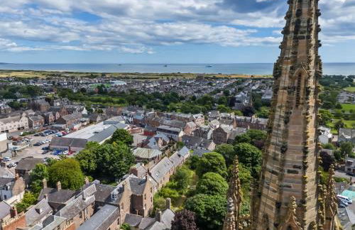 Prime Central Living 5-Bedroom 3-Bath Spacious House - Photo 35