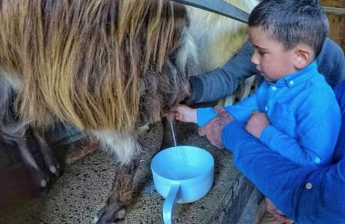 Agriturismo San Cataldo Farm Home - Foto 55