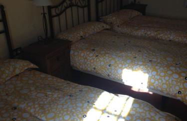 Finca la sutilas - Foto 5