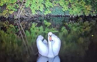 Appartement atypique indépendant sur péniche - Foto 64