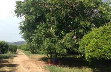 Agriturismo Le terre di zoe' - Foto 110