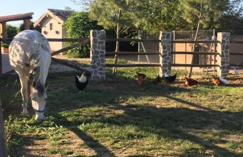 Finca Fuente Magan - Foto 33