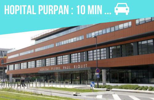 Maison Climatisée Coeur Historique Blagnac - Foto 45