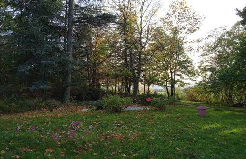 Maison calme avec piscine entourée de son parc - Foto 24