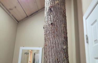 Treehouses at Lake Mountain Manor - Foto 35