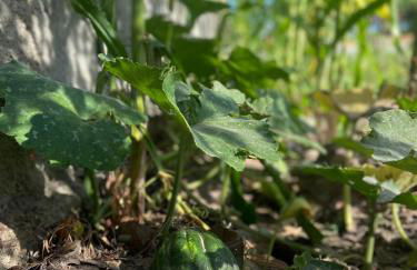 Vila hangloose vista da lagoa - Foto 37
