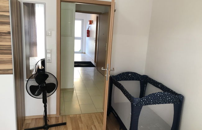 Sahara Falcon - Foto 6