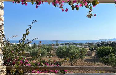 Stone Villa Mina - Foto 35