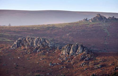 Coach House Totnes - Foto 18