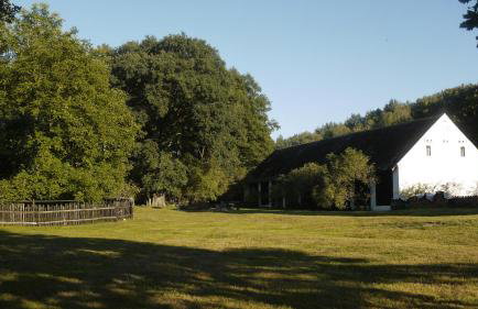 Silna Nowa 2 - Foto 17