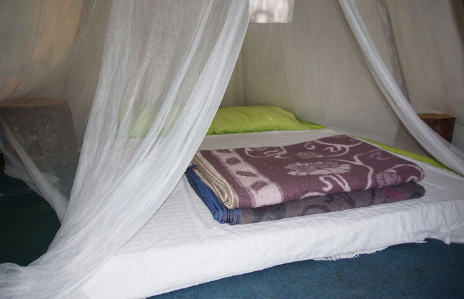 Shiva Camp - Foto 15