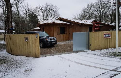 Salamandre et Hippocampe - Foto 26