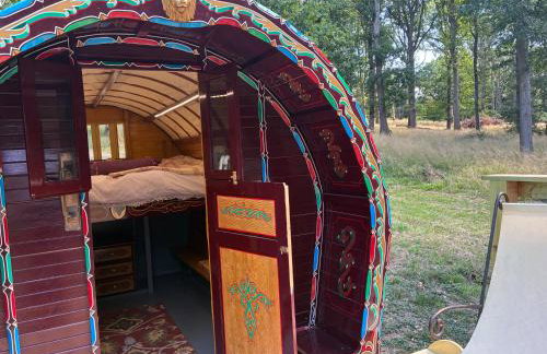 2 Guests - Pet Friendly - Traditional Gypsy Vardo - Foto 10