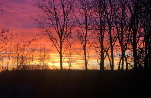 Wilga Leśne SPA - Foto 64