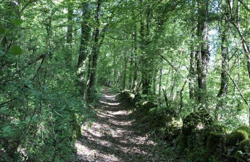 Gîte restauré avec piscine partagée, climatisation, vallée de la Dordogne - FR-1-616-258 - Foto 28