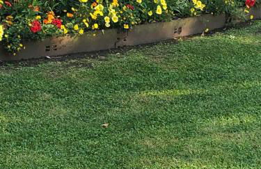 PARIS et CDG - Foto 8