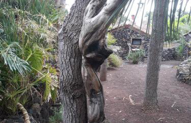 Finca El Lance - Foto 29