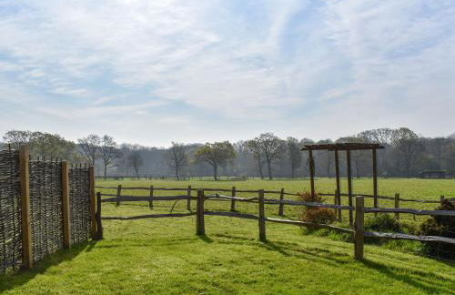 Woodpeckers - Foto 14