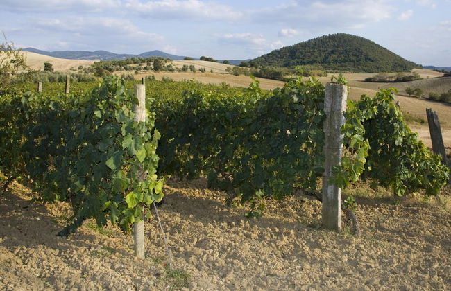 Agriturismo Il Giogo - Photo 41