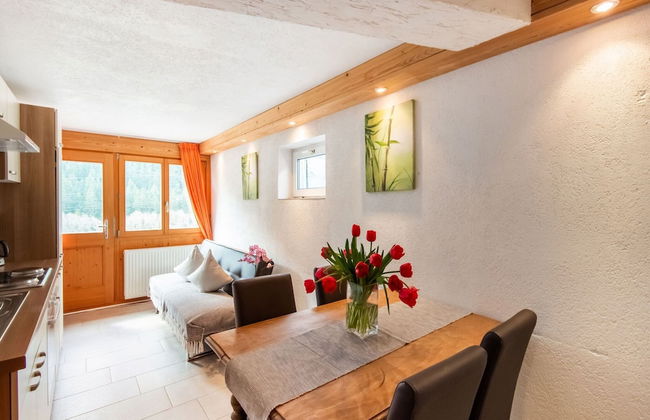 Apartment in Sankt Gallenkirch Near Ski Slopes - Foto 18