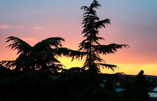 Il Melograno - Foto 9