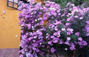 Recanto das Flores Lofts - Ilha Grande Rj - Foto 30