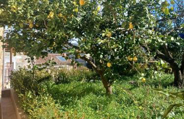 Casa da Nonna Rita - Foto 16