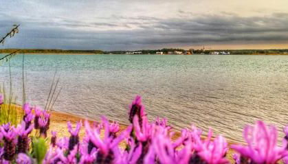 Ferienhaus sonnenWIND am Hainer See - Foto 4