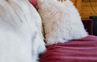 Sunset-View A-Frame Cabin Sleeps 12 Dog Friendly - Foto 16