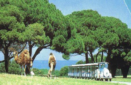 Villa FARO - new house, near beaches, heated pool, playroom, bbq, Salvore - Istria - Foto 72