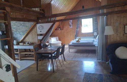 100 Stufen über dem Rhein - Photo 34