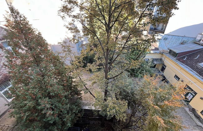 Orange Palm - Foto 38