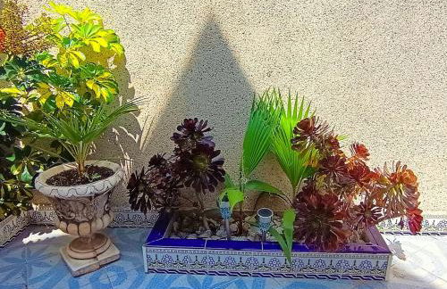 El Caprichito a 200 metros de la playa! - Foto 6