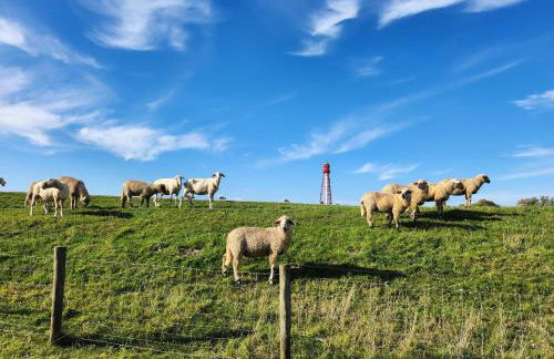 Ferienhaus Katinka - Foto 21