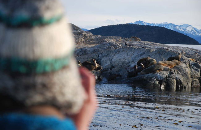 Beagle Channel Kayak Tour with Sea Lion Watching - Photo 2