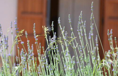 Tenuta Carabollace - Foto 27