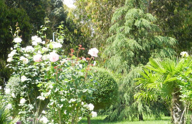 Il Nibbio Reale Country House - Foto 27